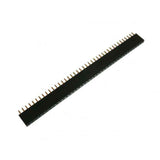 Conector Housing Sencillo Plug a Jack 40 Pines