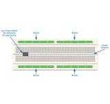 Protoboard 1 Bloque 2 Tiras 830 Puntos